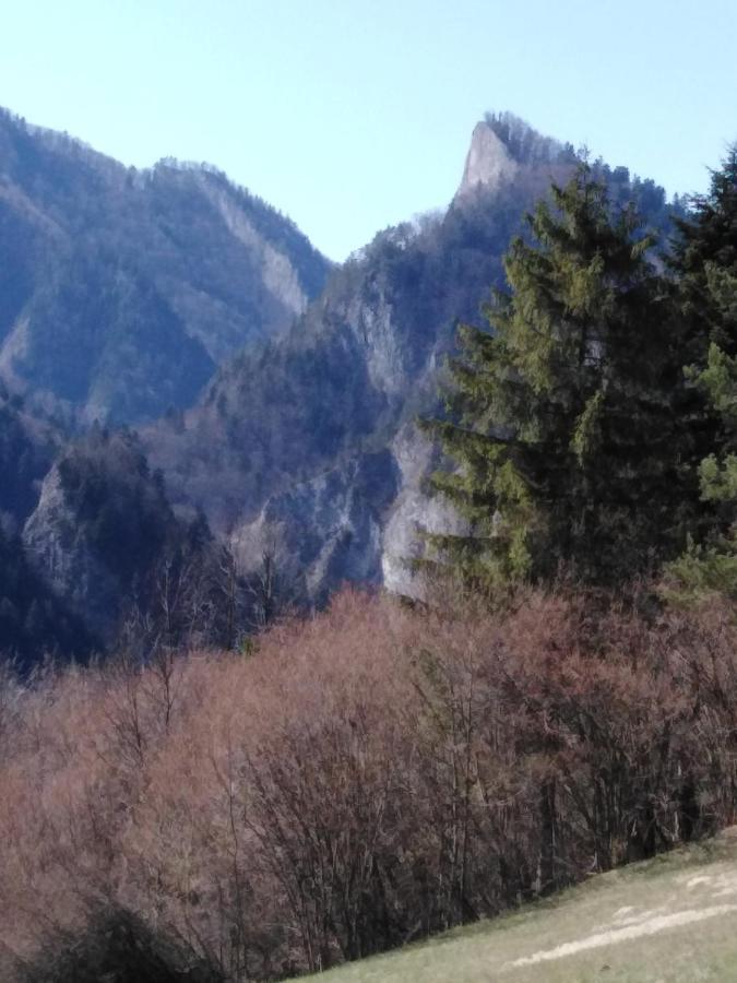 Chata Holica Pieniny Lesnica Luaran gambar