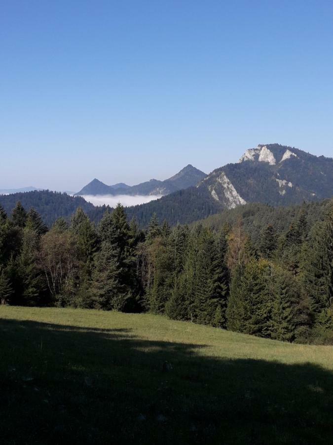 Chata Holica Pieniny Lesnica Luaran gambar