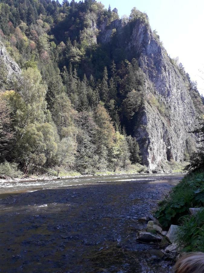 Chata Holica Pieniny Lesnica Luaran gambar