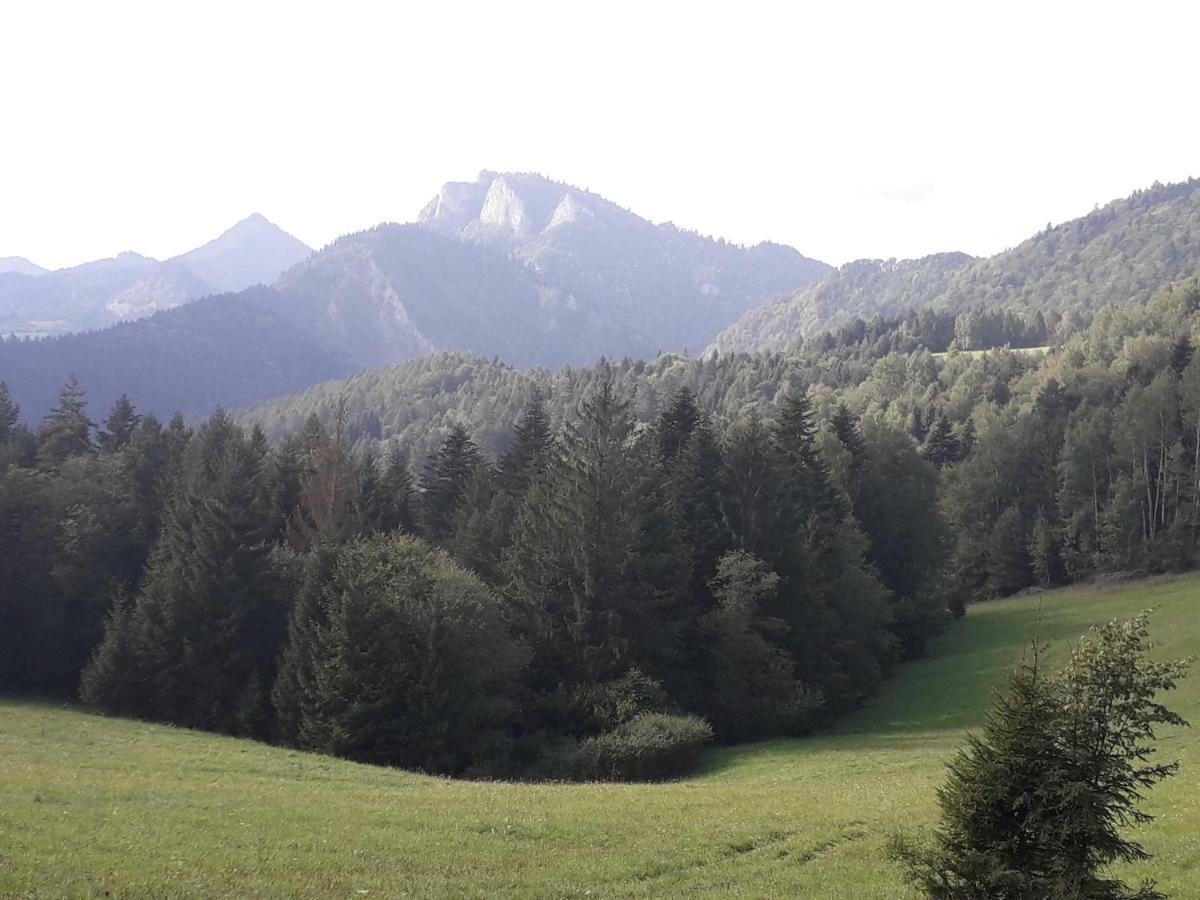 Chata Holica Pieniny Lesnica Luaran gambar